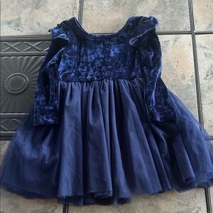 Elegant Velvet and Tulle Dress